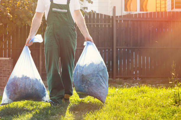 Best Hoarding Cleanup  in Walton, KY